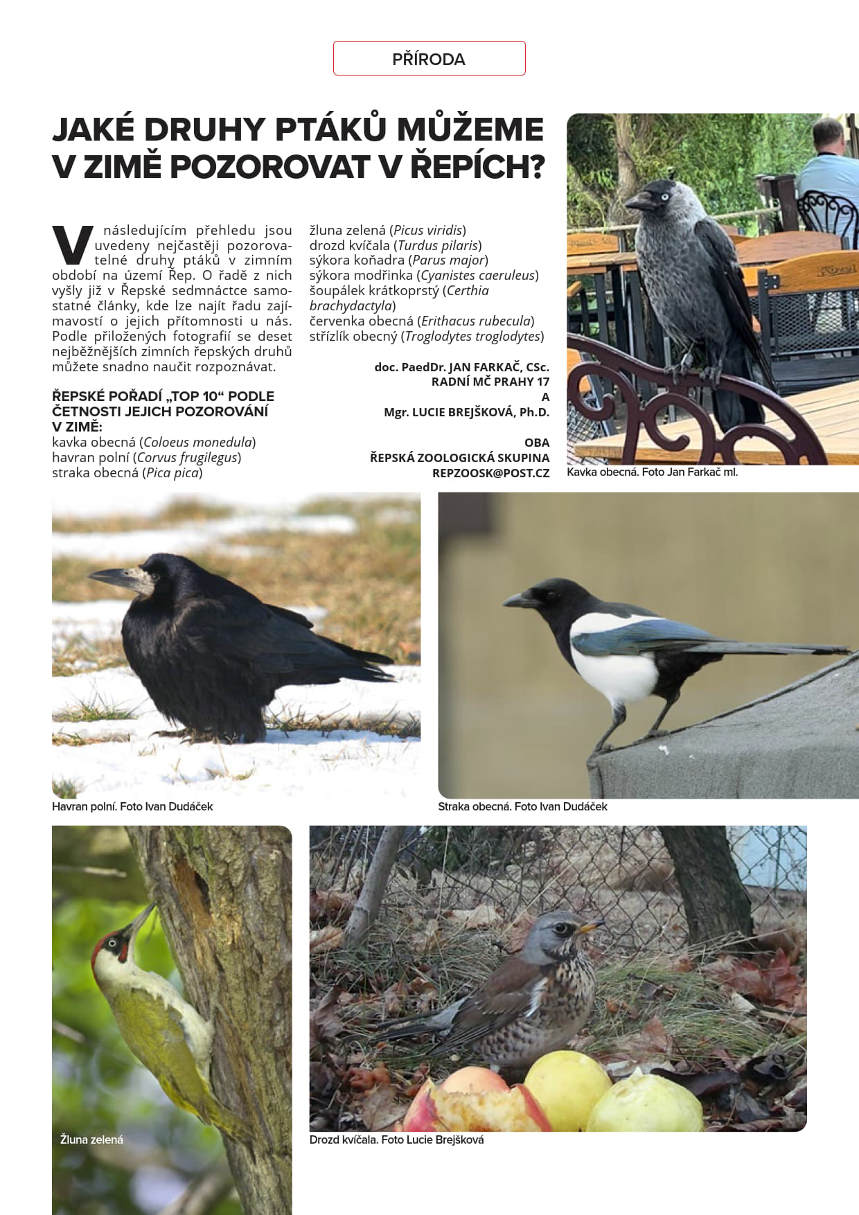 Řepská 17 - strana 26