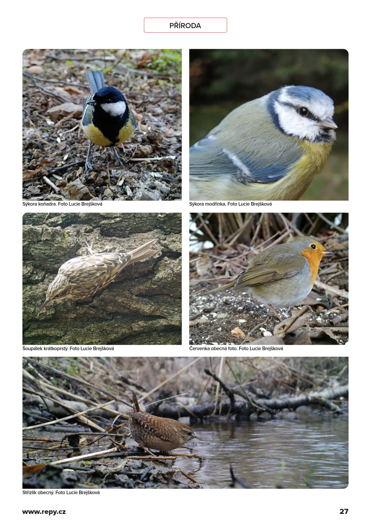 Řepská 17 - strana 27