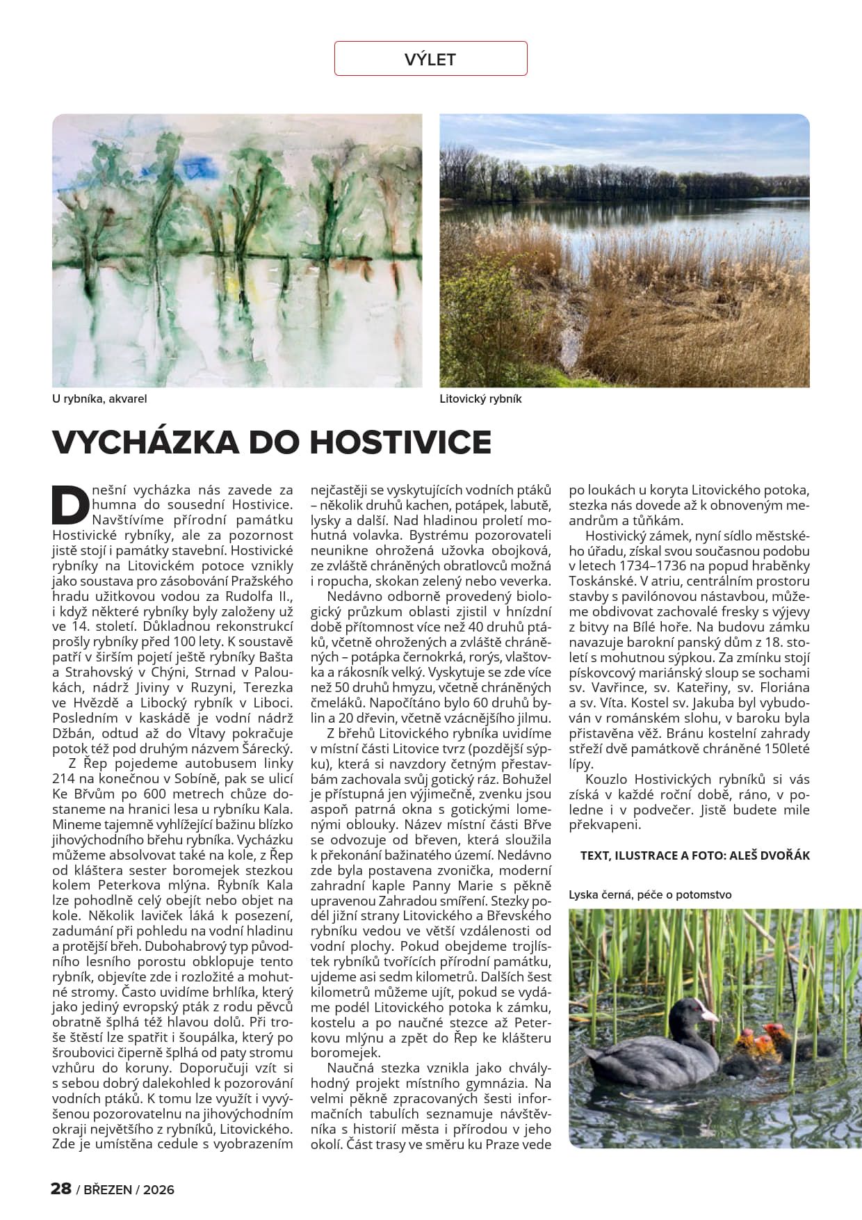 Řepská 17 - strana 28