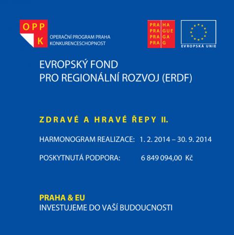 Zdravé a hravé Řepy II. - ERDF