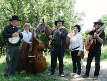 Wousáči