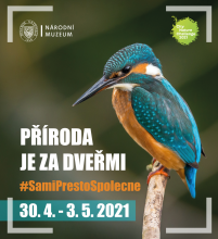 City Nature Challenge