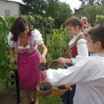 Vinobraní v Klášteře