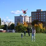 DRAKIÁDA SE TĚŠILA VELKÉ ÚČASTI