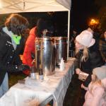 ROZSVÍCENÍ VÁNOČNÍHO STROMU