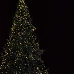 Vánoční strom svítí!