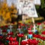 Pietní akce Den válečných veteránů 2025