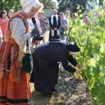 Vinobraní