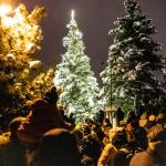Rozsvícení vánočního stromu 